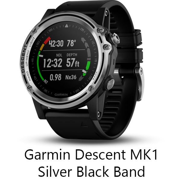Descent_Mk1-Silver